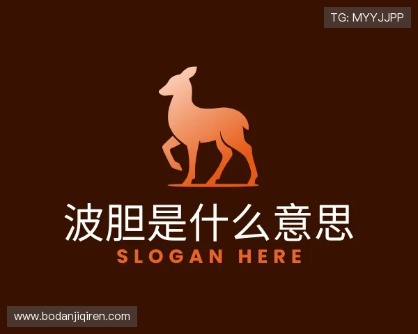 介绍足球波胆